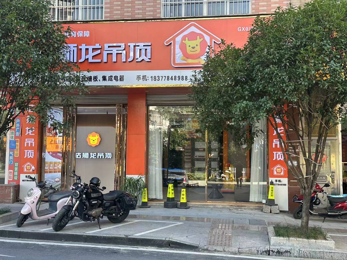 广西河池南丹县法狮龙专卖店图片