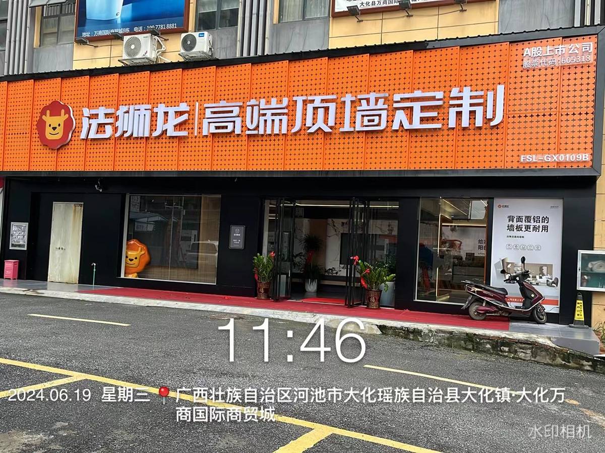 广西河池大化法狮龙专卖店图片