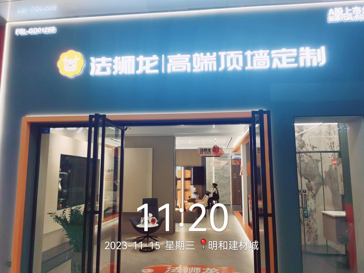 广东东莞长安镇法狮龙专卖店图片