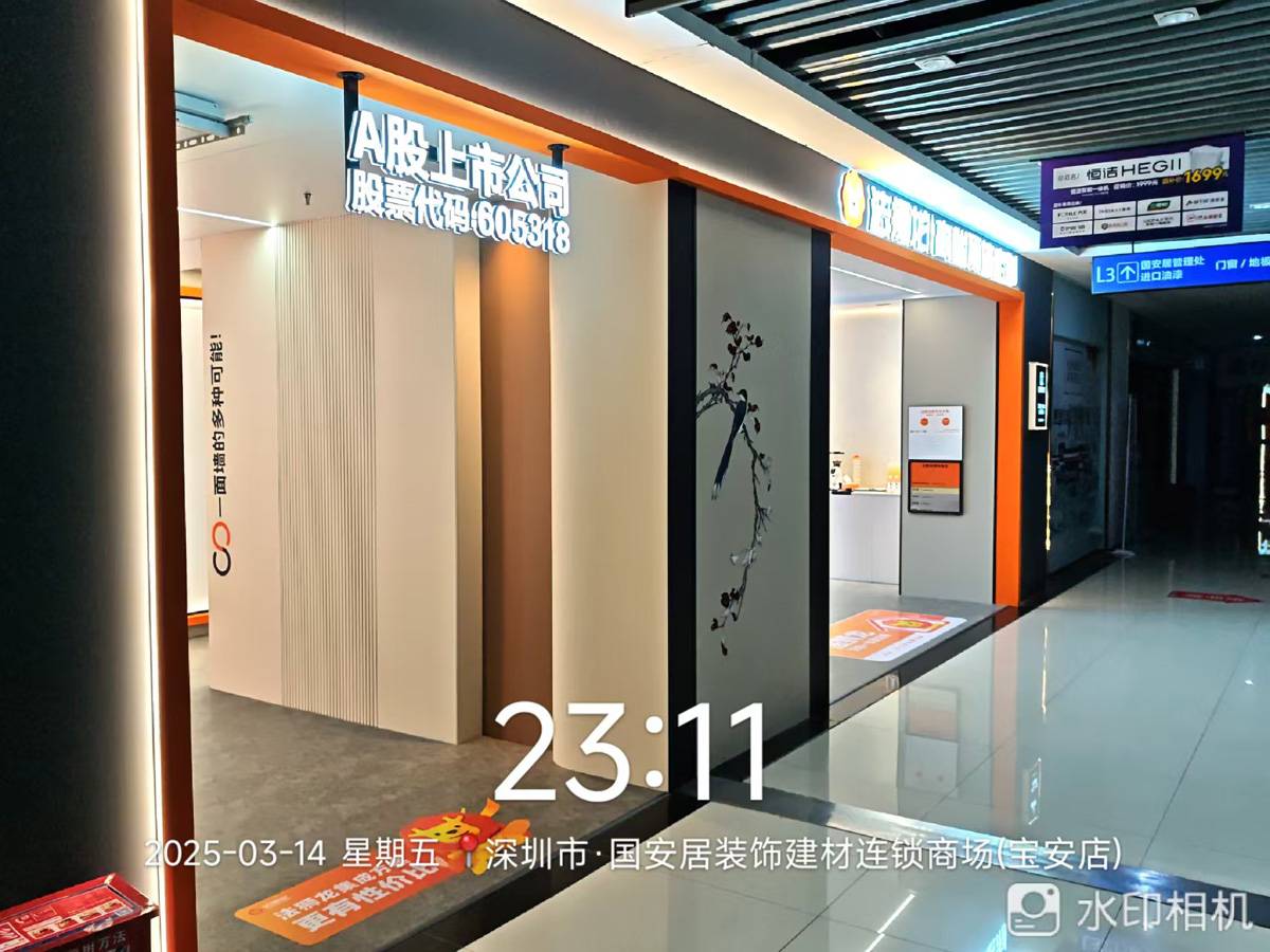 广东深圳宝安区法狮龙专卖店图片