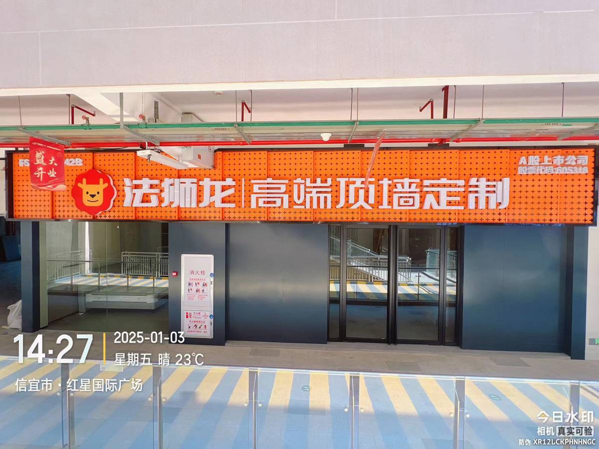 广东茂名信宜市法狮龙专卖店图片