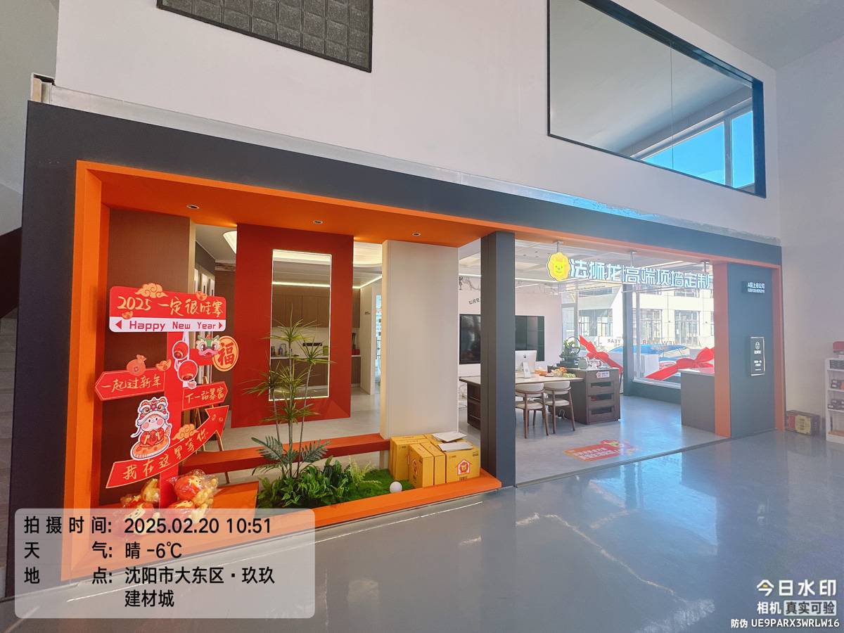 辽宁沈阳大东区法狮龙专卖店图片