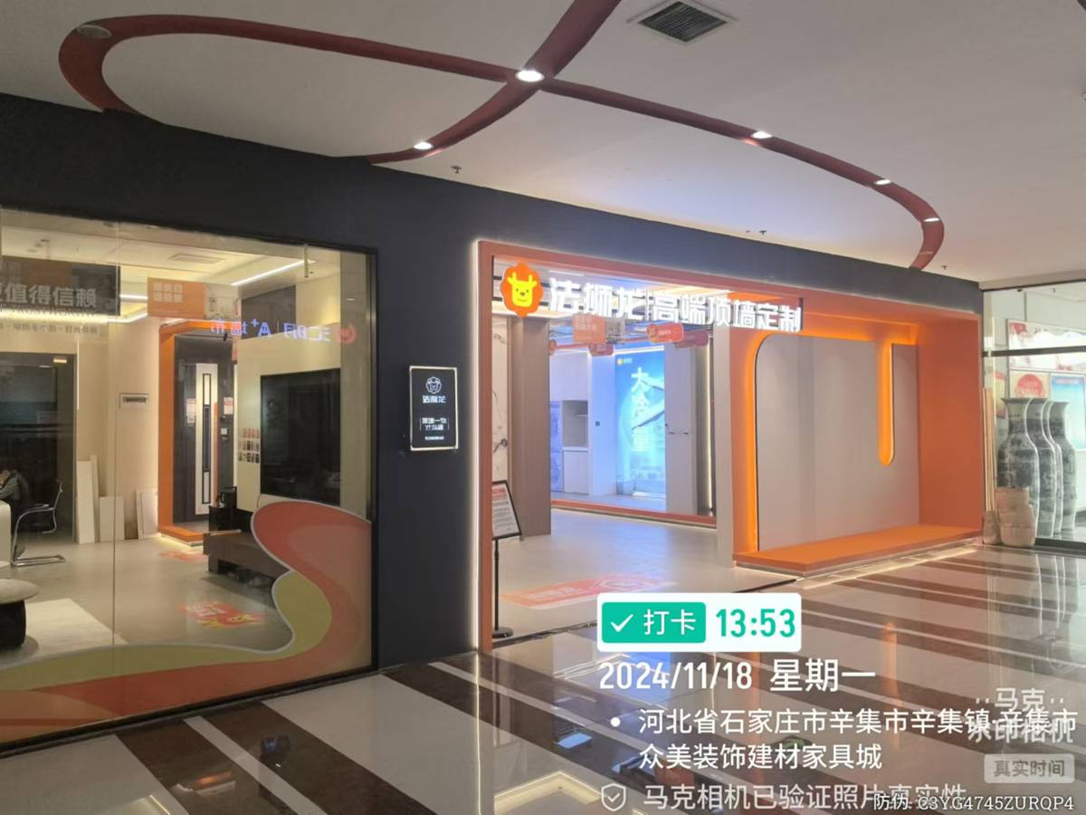 河北石家庄辛集市法狮龙专卖店图片