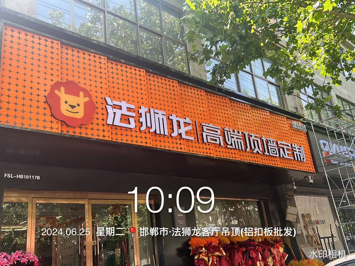 河北邯郸大名县法狮龙专卖店图片