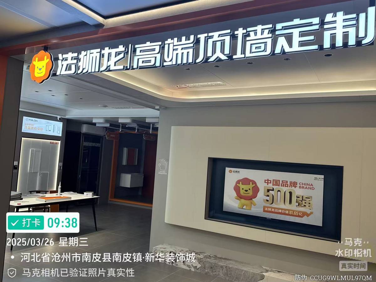 河北沧州南皮县法狮龙专卖店图片