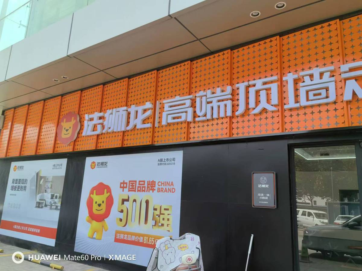 河北沧州河间市法狮龙专卖店图片