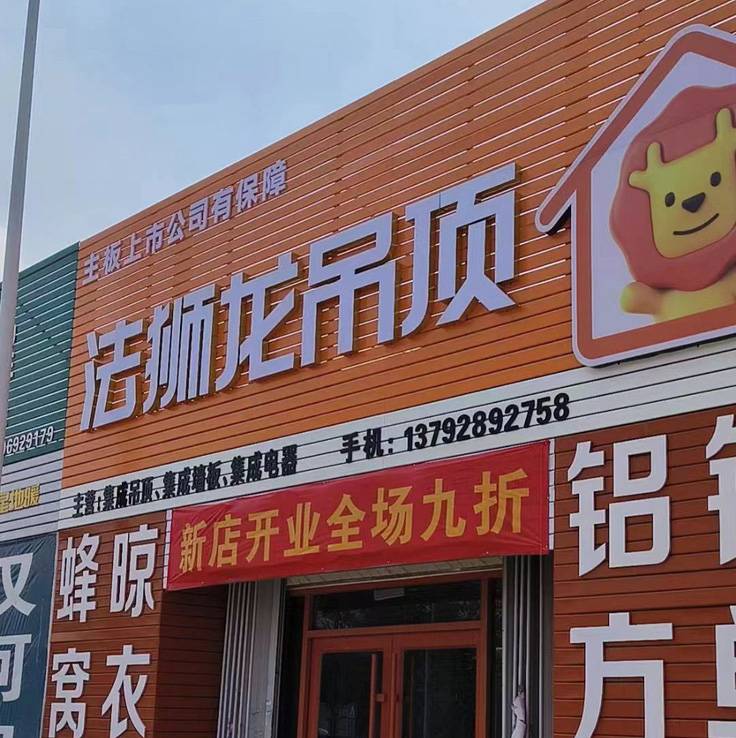 山东青岛城阳区法狮龙专卖店图片