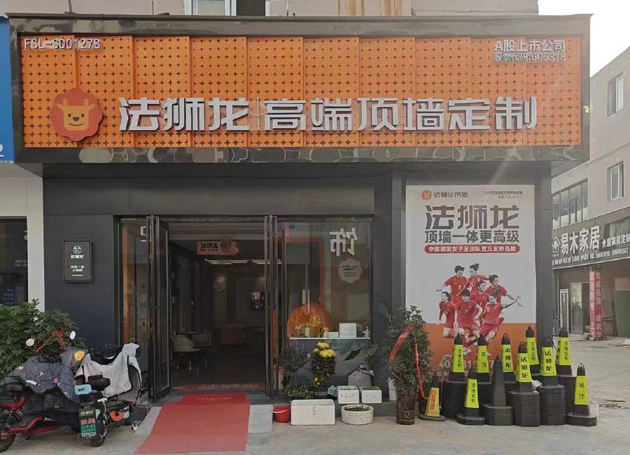 山东菏泽单县法狮龙专卖店图片
