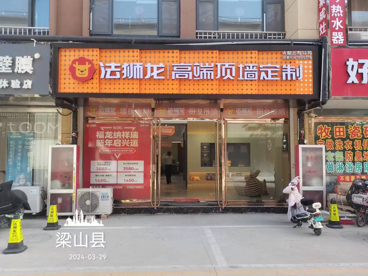 山东济宁梁山县法狮龙专卖店图片