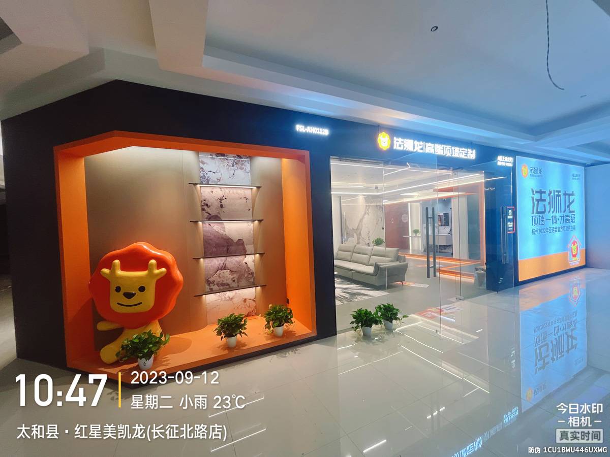 安徽阜阳太和县法狮龙专卖店图片