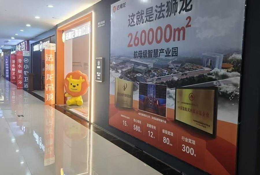 安徽阜阳临泉县法狮龙专卖店图片