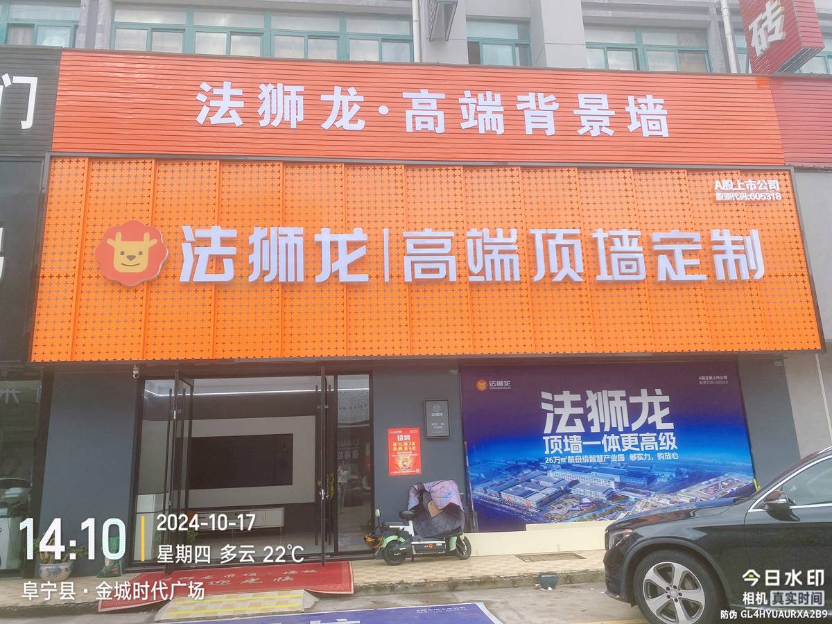 江苏盐城阜宁县法狮龙专卖店图片
