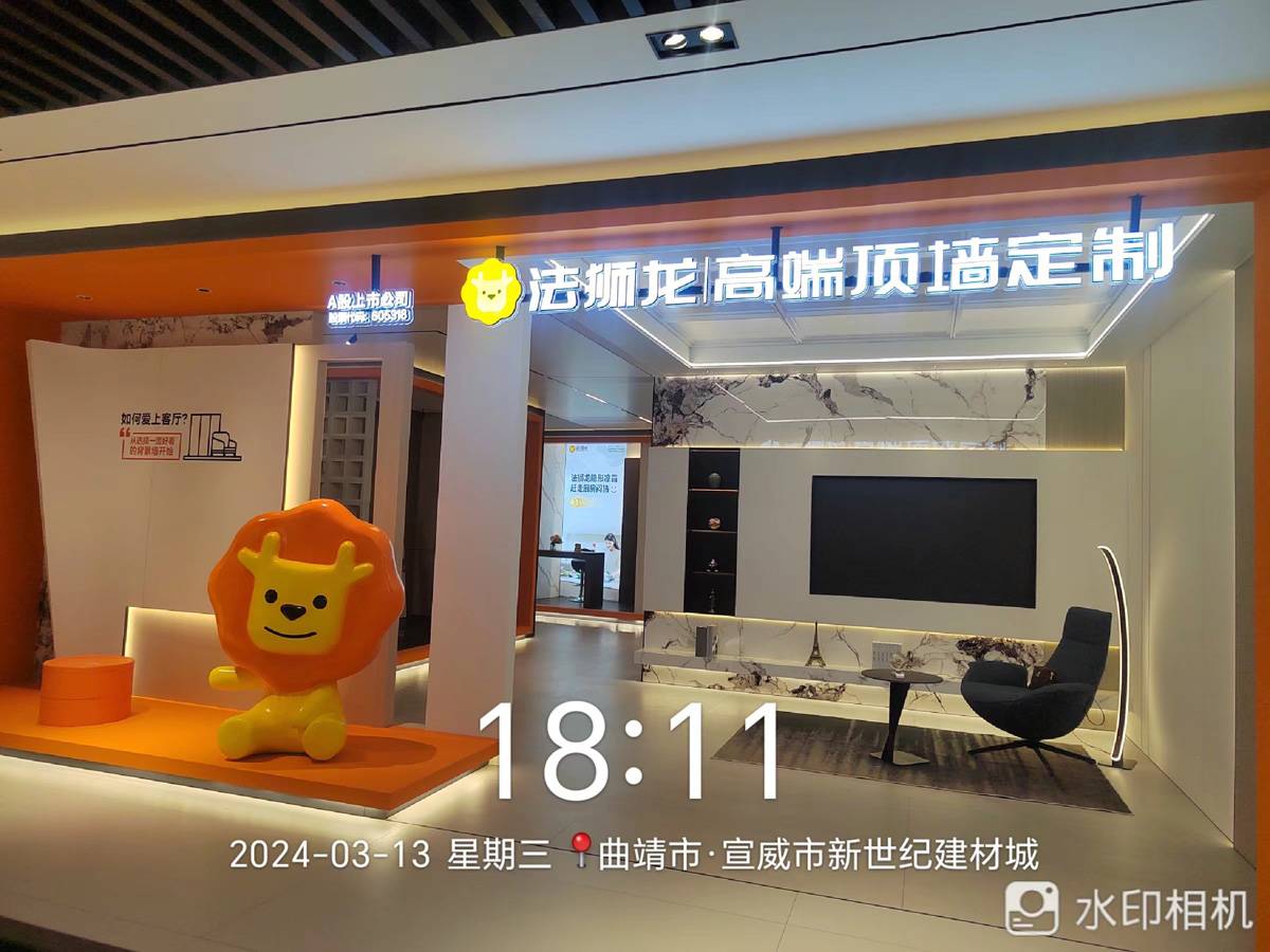 云南曲靖宣威市法狮龙专卖店图片