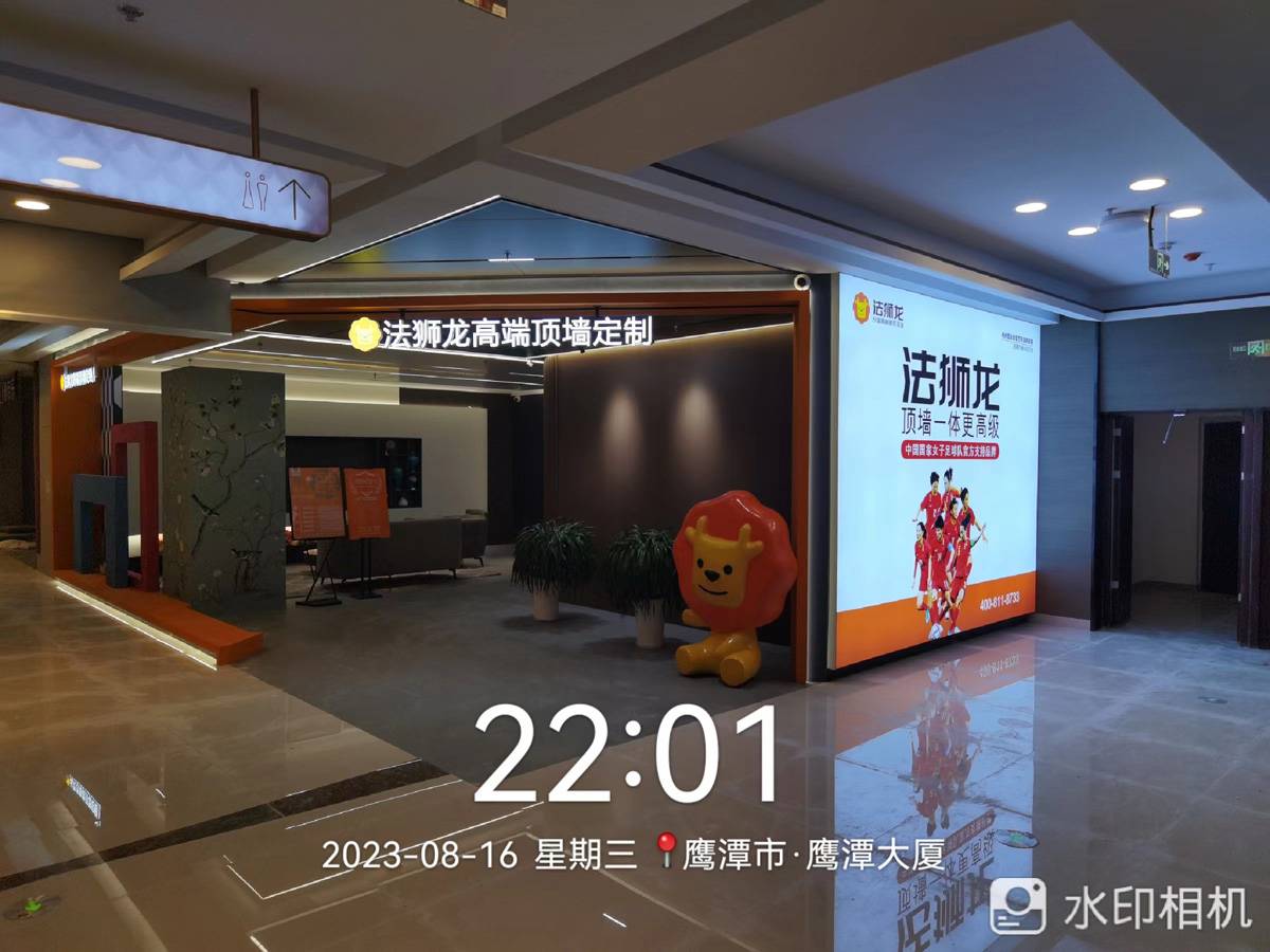 江西鹰潭月湖区法狮龙专卖店图片