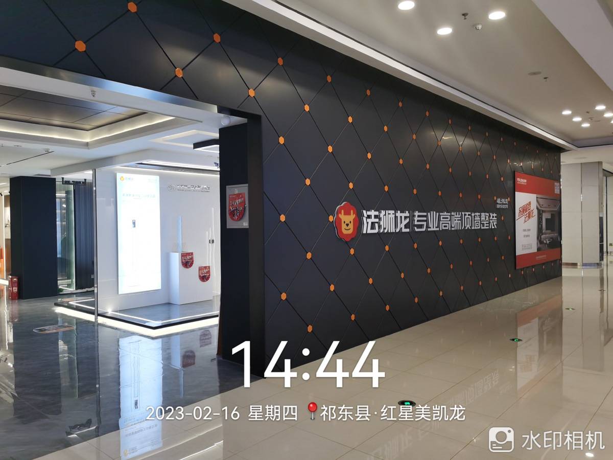 湖南衡阳祁东县法狮龙专卖店图片