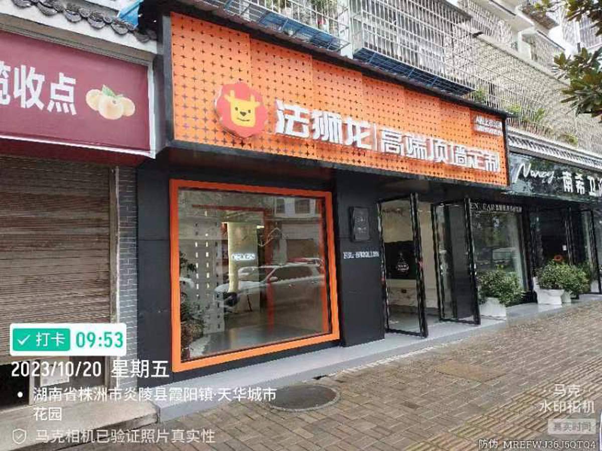 湖南株洲炎陵县法狮龙专卖店图片