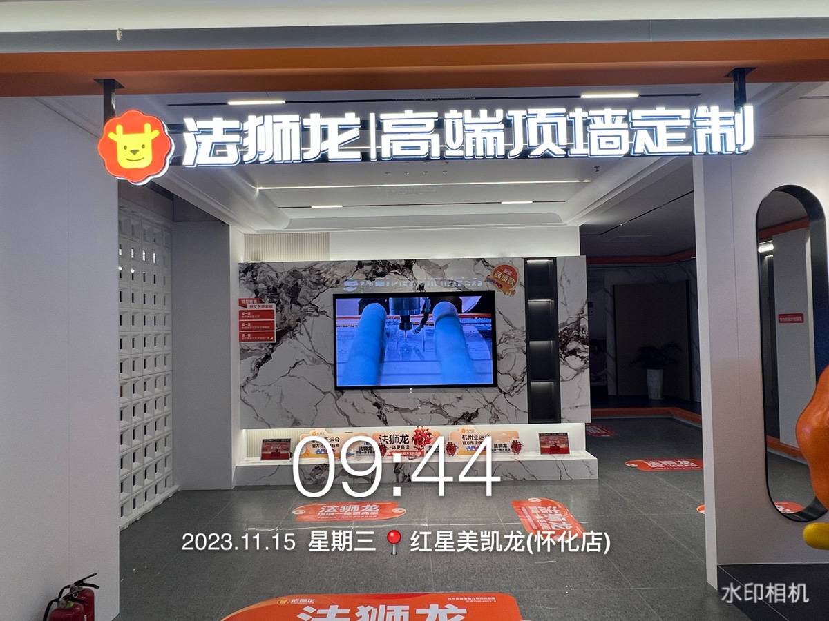 湖南怀化鹤城区法狮龙专卖店图片
