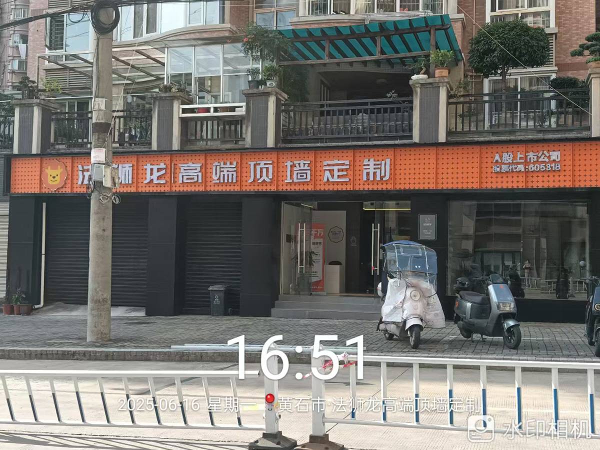 湖北黄石下陆区法狮龙专卖店图片