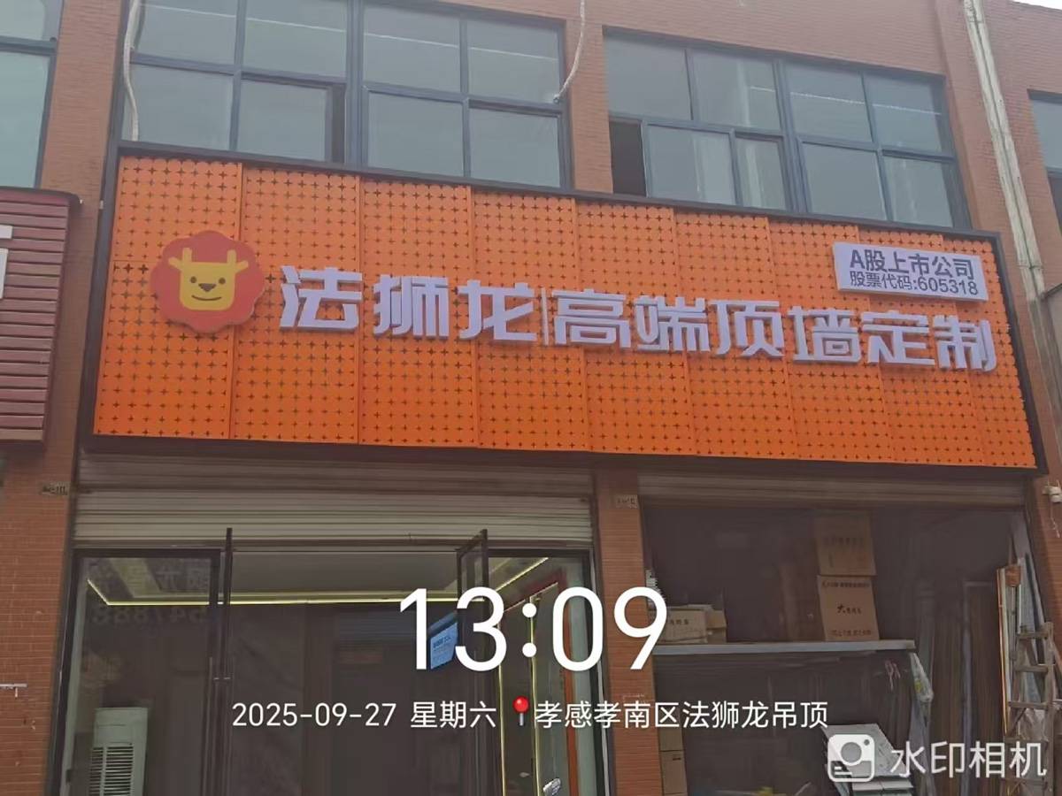 湖北孝感孝南区法狮龙专卖店图片