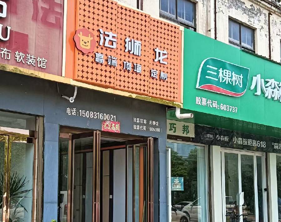 河南周口郸城县法狮龙专卖店图片
