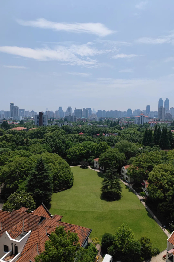 闹市之中的一方净土 现代主义极简风大宅定制