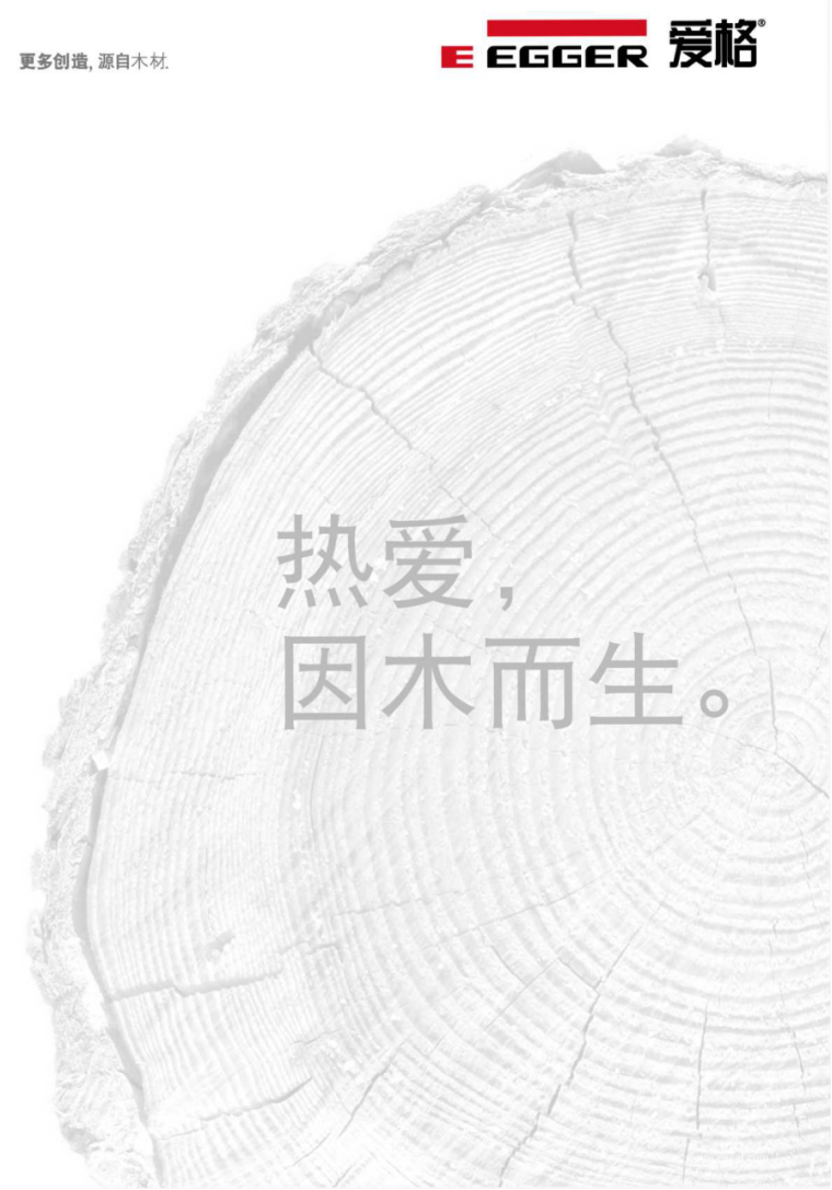爱格板